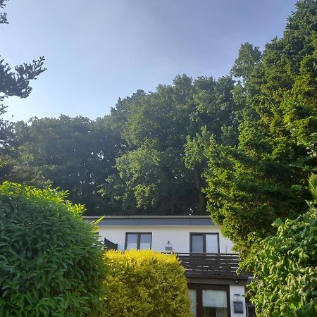 Apartment Am Waldrand 1 Person ,Gemuetlich, Nichtraucher อิทเซอโฮ ภายนอก รูปภาพ